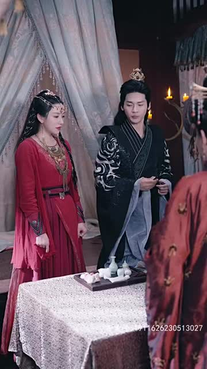 霸道王爷的在逃王妃（88集）一起追生活短剧