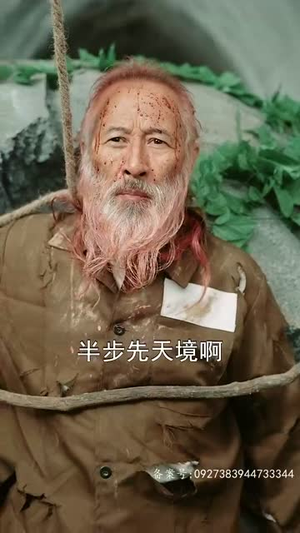 追龙之罪与罚（100集）在哪里可以看