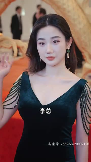 龙骁（100集）短剧追到爽