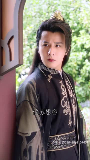 纵使相逢应不识（91集）在线观看全集