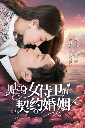 贴身女侍卫的契约婚姻（91集）全集下载