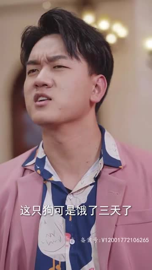 女儿我要找到你（79集）免费全集短剧