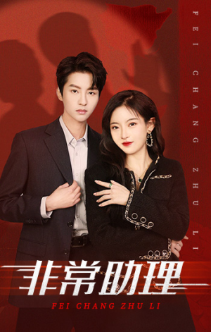 非常助理（102集）剧情简介