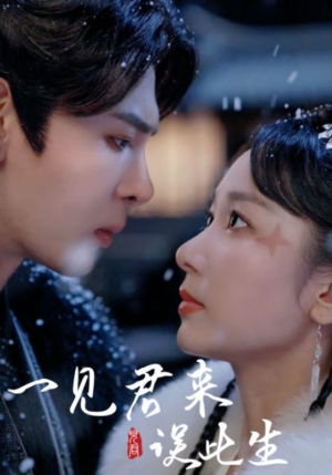 一见君来误此生（95集）爆火短剧抢先看