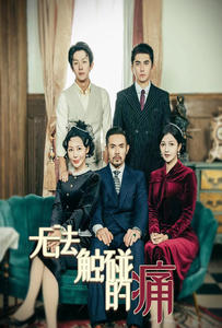 无法触碰的痛（80集）免费观看