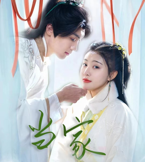 傻子王爷娇宠妃&当家（50集）评价怎么样