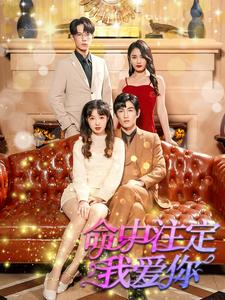 命中注定我爱你(99集) 命中注定我爱你(99集)在哪个平台能看