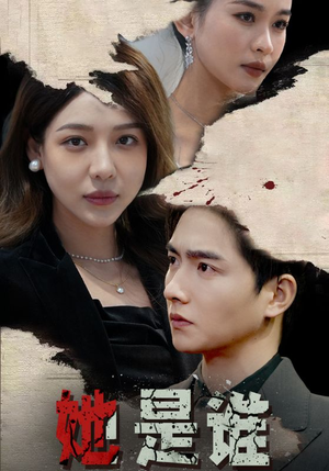 她是谁（79集）经典老剧免费看