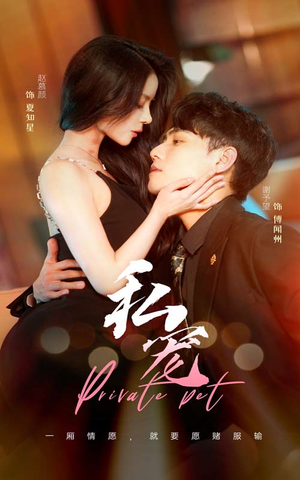 私宠（94集）更新时间一览表