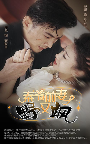 秦爷前妻野又飒（100集）1-102集