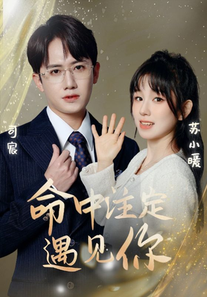 命中注定遇见你（96集）热门短剧看不停