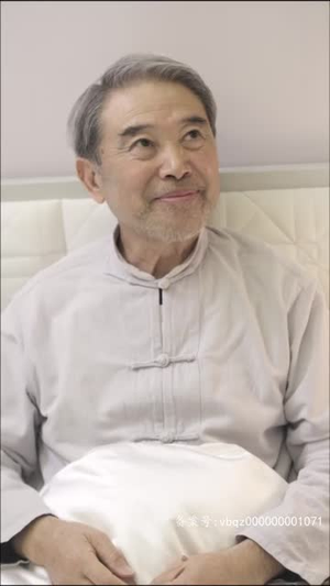 绝世少主之重回巅峰（95集）全集