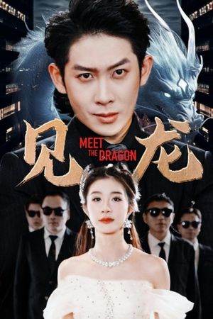 见龙（78集）短剧热播中