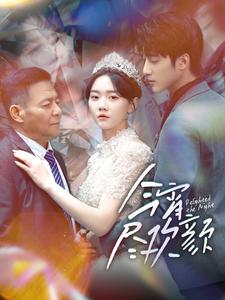 今宵尽欢颜（99集）在线免费观看