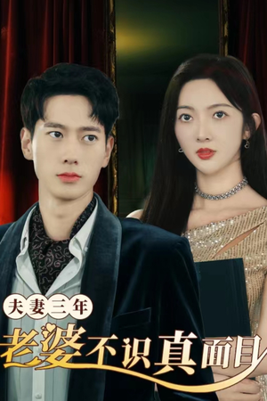 夫妻三年老婆不识真面目（83集）精彩连连免费看
