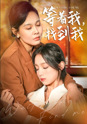 等着我，找到我（74集）精彩短剧看全集