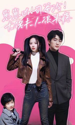 崽崽凶！司爷冷！大佬夫人很头疼（80集）海量资源免费看