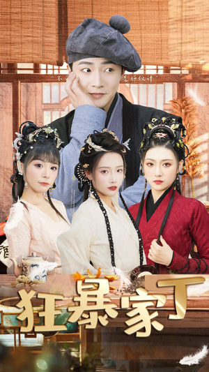 狂暴家丁$飞驰人生之超品家丁（90集）热播短剧推荐