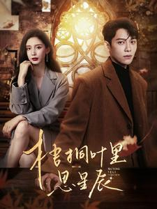 梧桐叶里思星辰（100集）大结局一气呵成