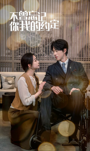 不曾忘记你我的约定（51集）红果短剧看全集