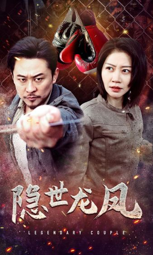 隐世龙凤（63集）追短剧关注我