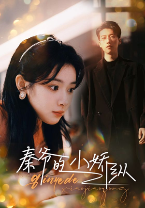 秦爷的小娇纵（96集）短剧看全集