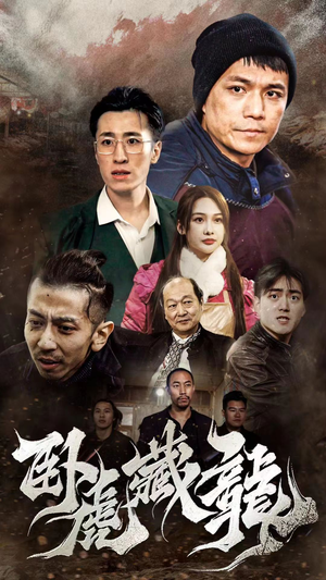 卧虎藏龙（92集）短剧追到爽