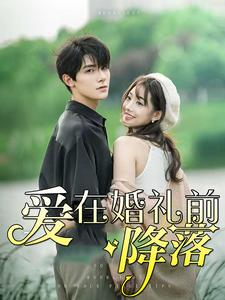 爱在婚礼前降落（50集）常回家看看短剧