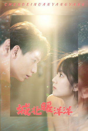 城北暖洋洋（60集）好看短剧看不停