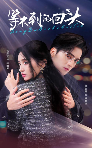 等不到的回头(35集) 等不到的回头(35集)最火爆的短剧