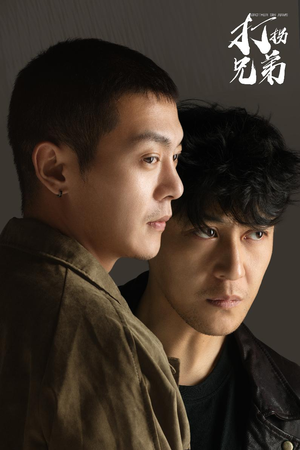 打拐兄弟（30集）短剧在哪里看