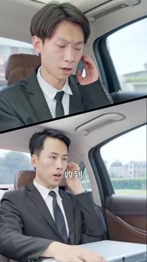 彩礼谈崩后继承万亿家产（100集）免费短剧看全集