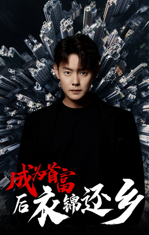 成为首富后衣锦还乡（30集）真的好看吗