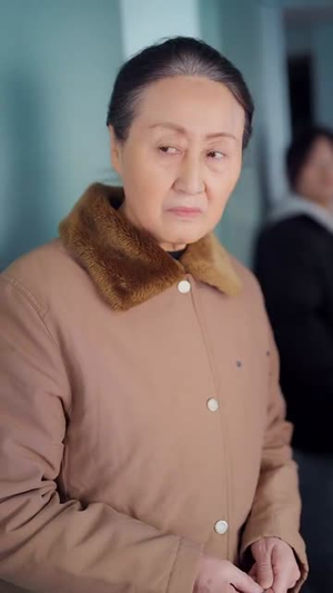 春运回家路（32集）让你一口气看完