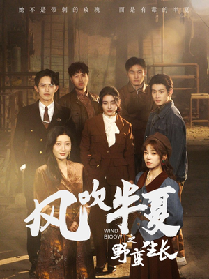 风吹半夏之野蛮生长（59集）看精彩短剧