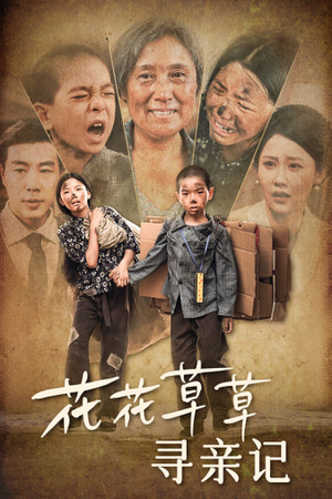 花花草草寻亲记（42集）亿万短剧抢先看