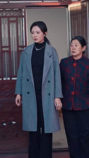 回家过年遇到极品亲戚（29集）最后的大结局