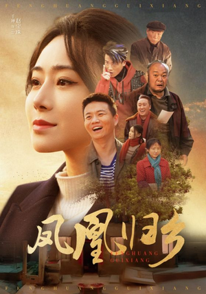 凤凰归乡（33集）高清画质免费看