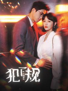 犯了规（96集）第一集
