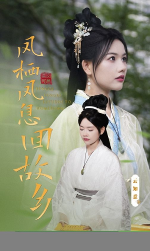 凤栖凤息回故乡（36集）这部短剧我爱了