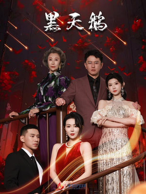 黑天鹅（51集）熬夜追短剧