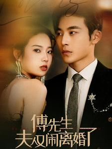 傅先生夫人又闹离婚了（80集）更新时间