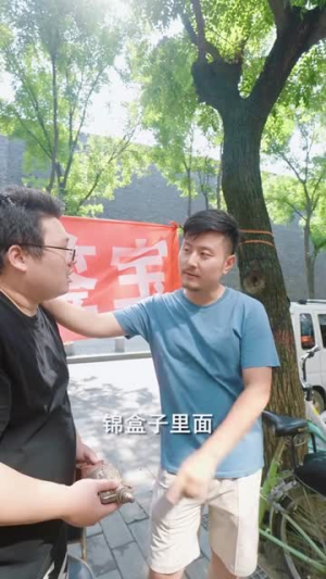 鉴宝龙婿（80集）热门火爆短剧