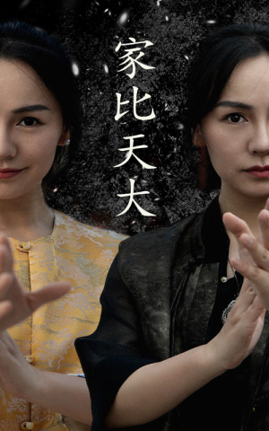 家比天大（63集）好看上头的短剧