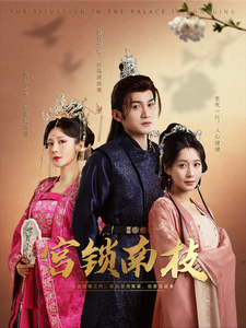 宫锁南枝（31集）看到了大结局