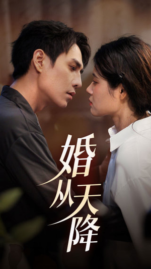 婚从天降（92集）爆款短剧一起追