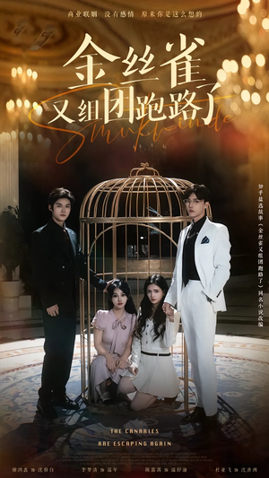 金丝雀又组团跑路了（长篇）最火爆的短剧