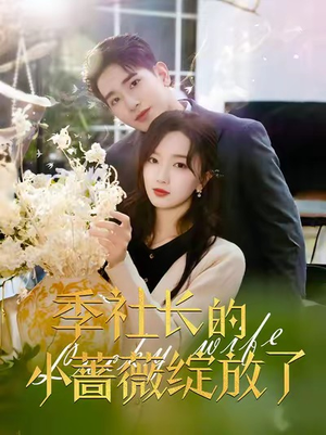 季社长的小蔷薇绽放了（60集）正能量短剧分享