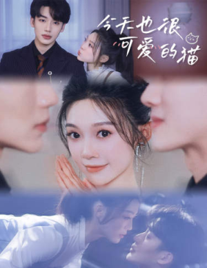 今天也很可爱的猫（72集）热门短剧排行榜