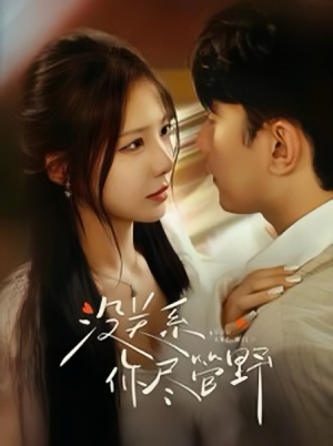 没关系你尽管野（29集）短剧热门合集